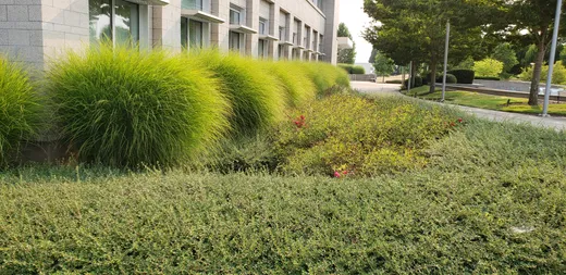 Landscape installation or grounds maintenance by Earthworks Landscape Service