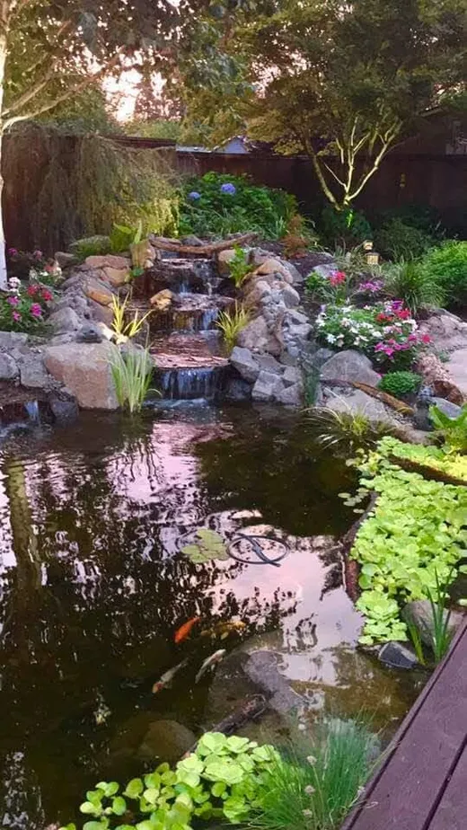 Pond or water feature designed and built by Earthworks Landscape Service