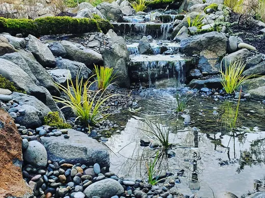 Pond or water feature designed and built by Earthworks Landscape Service