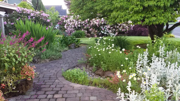 Curved paver path winding through flowering garden beds