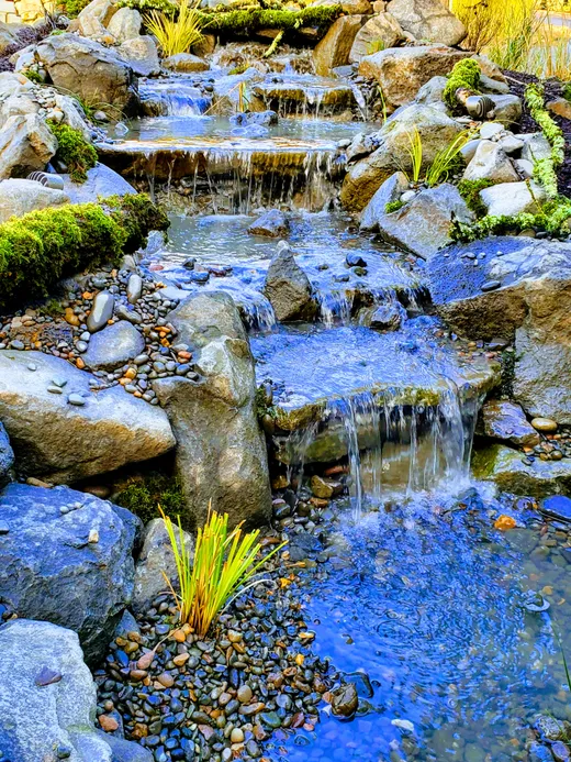 Pond or water feature designed and built by Earthworks Landscape Service