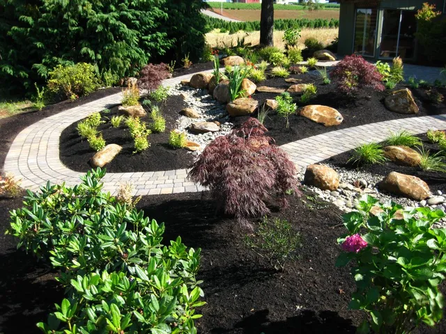 Paver pathway through a new planting bed with boulders, dry creek, and Japanese maples