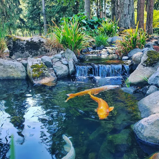 Pond or water feature designed and built by Earthworks Landscape Service