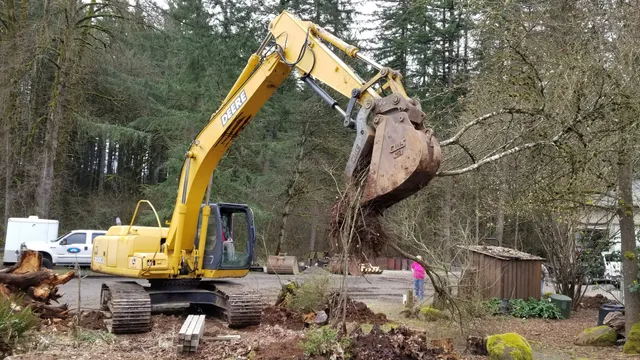 Excavator pulling a stump root ball