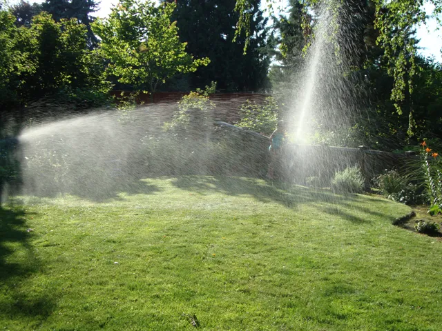 Completed irrigation zone with even spray coverage