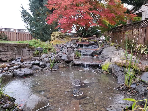 Pond or water feature designed and built by Earthworks Landscape Service