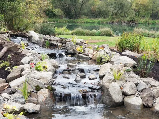 Pond or water feature designed and built by Earthworks Landscape Service