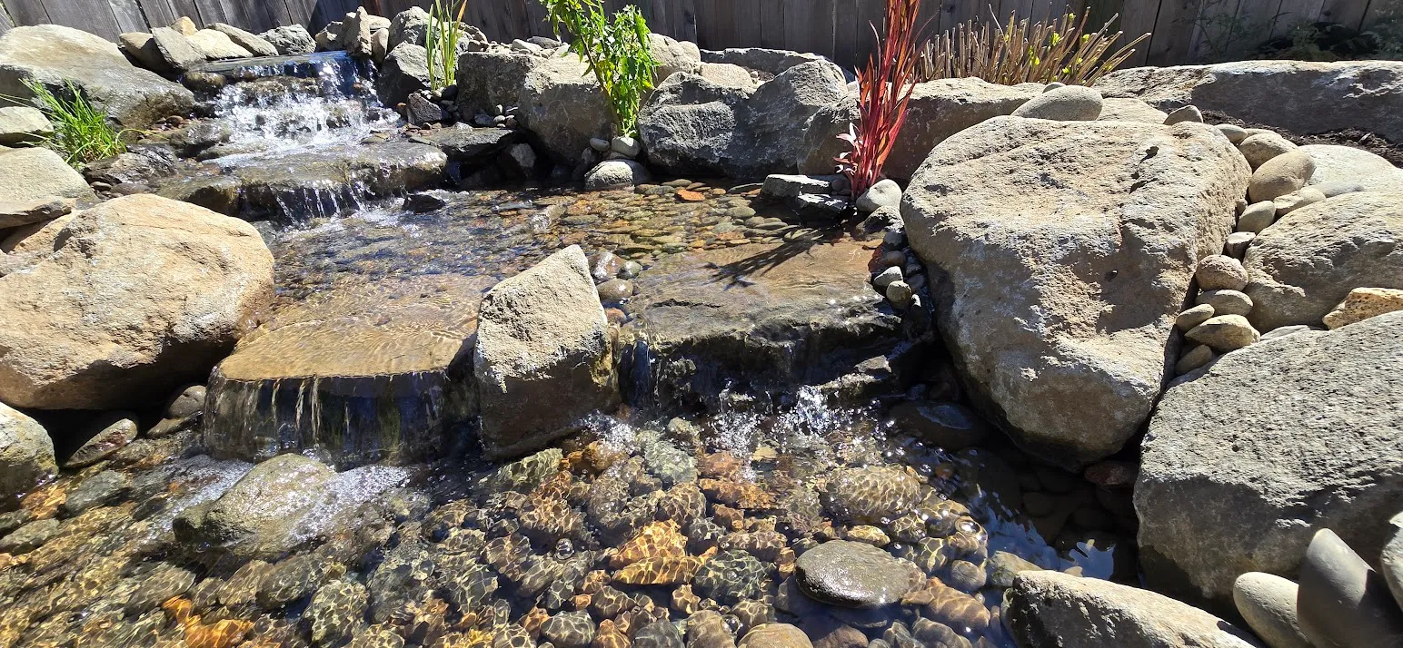 Closeup of the finished stepped waterfall spilling into the clear pebble-bottom pond a week later