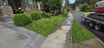 Flat front-yard lawn before the project