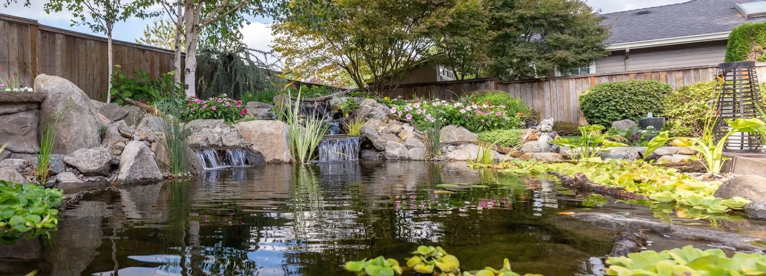 Backyard pond panorama with waterfalls and flowering borders