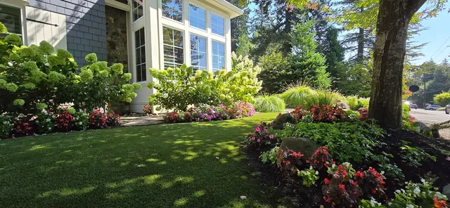 Maintained front lawn with limelight hydrangeas and fresh annual color at the window beds
