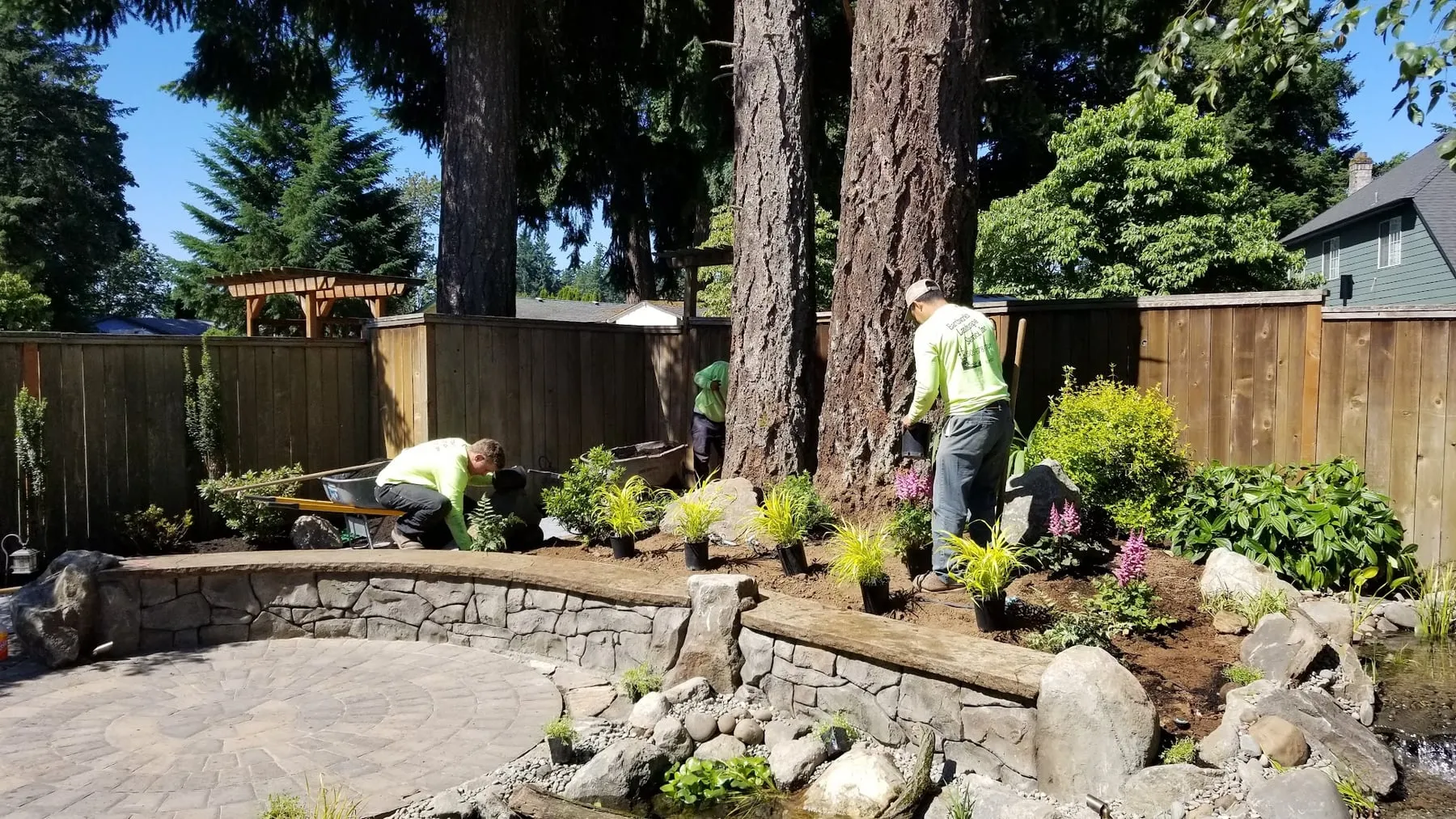 Earthworks crew planting a bed behind a curved stone seat wall and paver patio under tall firs in Canby